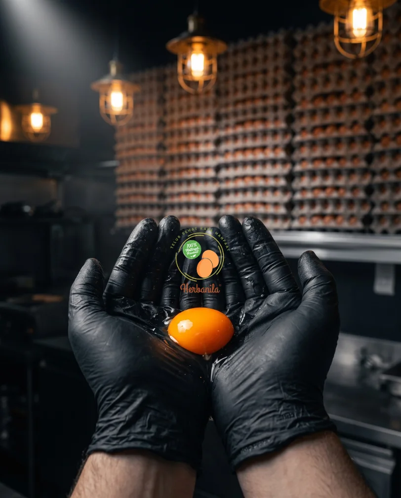 Telur Curah Omega Herbanila untuk Industri HORECA